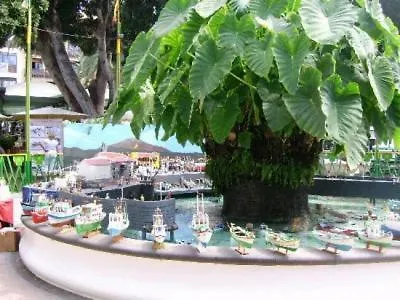 Inseloase In Puerto De La Cruz 拉克鲁斯